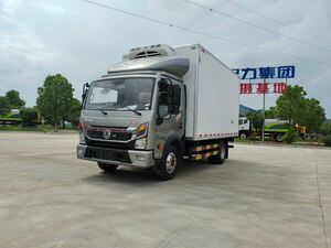 Dongfeng10t Refrigerated Trucks 4X2 Premium Fresh Transport Trucks Reliable Refrigerated