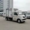 Foton Small Refrigerated Trucks for Delivering Fruits Vegetables Meat and Seafood